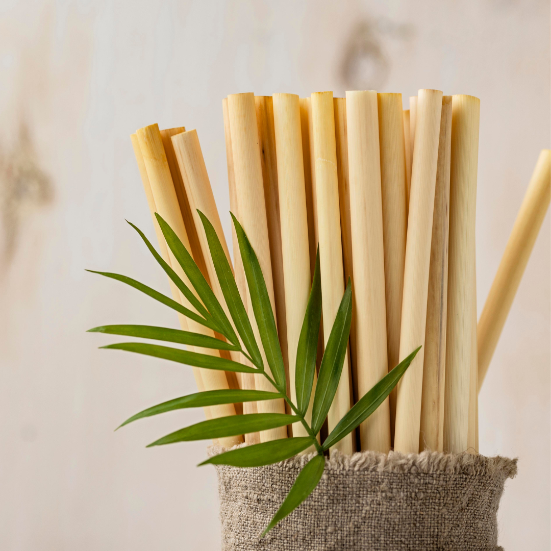 Bamboo Straws (12", Pack of 100)